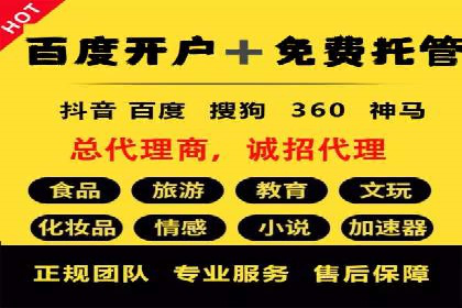 探索专业SEM托管的奥秘：从案例看效果